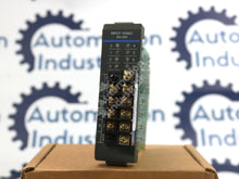 Carregar imagem no visualizador da galeria, 305-20N By Texas Instruments 8-Point Input Module
