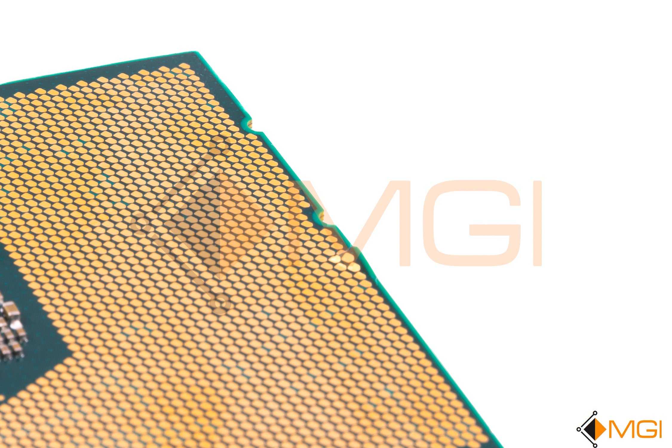 GOLD 6248 // SRF90 (DAMAGED)