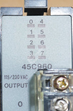 Carregar imagem no visualizador da galeria, 45C960 By Reliance Electric 115/230 VAC 8-Point Output Module Shark XL

