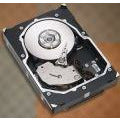 Seagate ST3146855FCV 146-GB 15K FC-AL - MFerraz Tecnologia