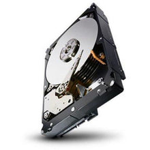 Carregar imagem no visualizador da galeria, Seagate 3TB Enterprise Capacity HDD SATA 6Gb/s 128MB Cache 3.5-Inch Internal Bare Drive (ST3000NM0033)-FoxTI
